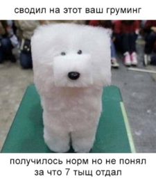 Грумер
